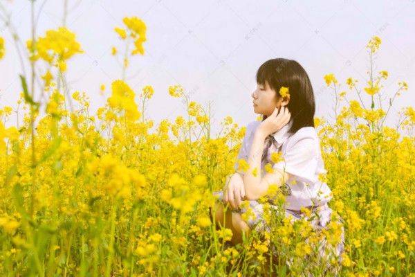 白地瓜食疗功效：助你轻松缓解便秘