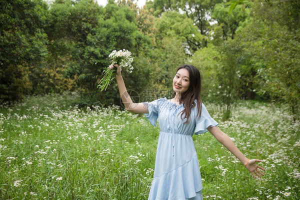 人参与西洋参药效区别研究综述